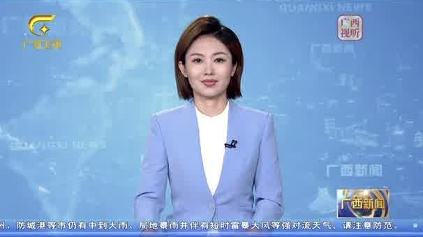 桂通五洲 贸促南美 广西—巴西经贸投资合作洽谈会举行