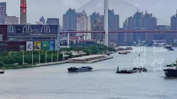 速览8月全球贸易禁令 马来西亚、美国、俄罗斯等10个国家/地区，发布13项禁令与限制措施，赶紧查收有效规避风险！