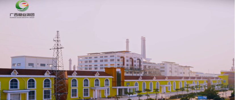 微信图片_2026-06-05_164254_508.png